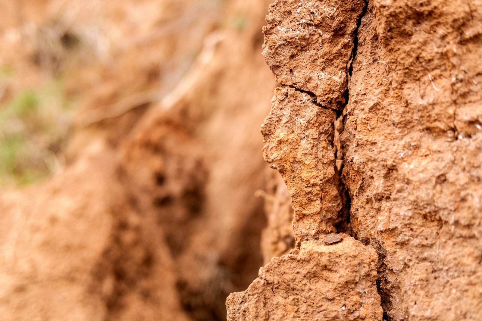 Detail and texture of the earth of a slope with cracks.